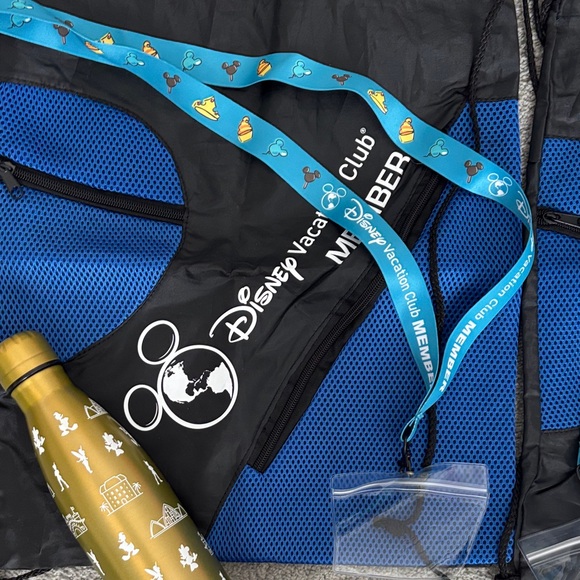 Disney Vacation Club bundle-Firm price - Picture 3 of 4